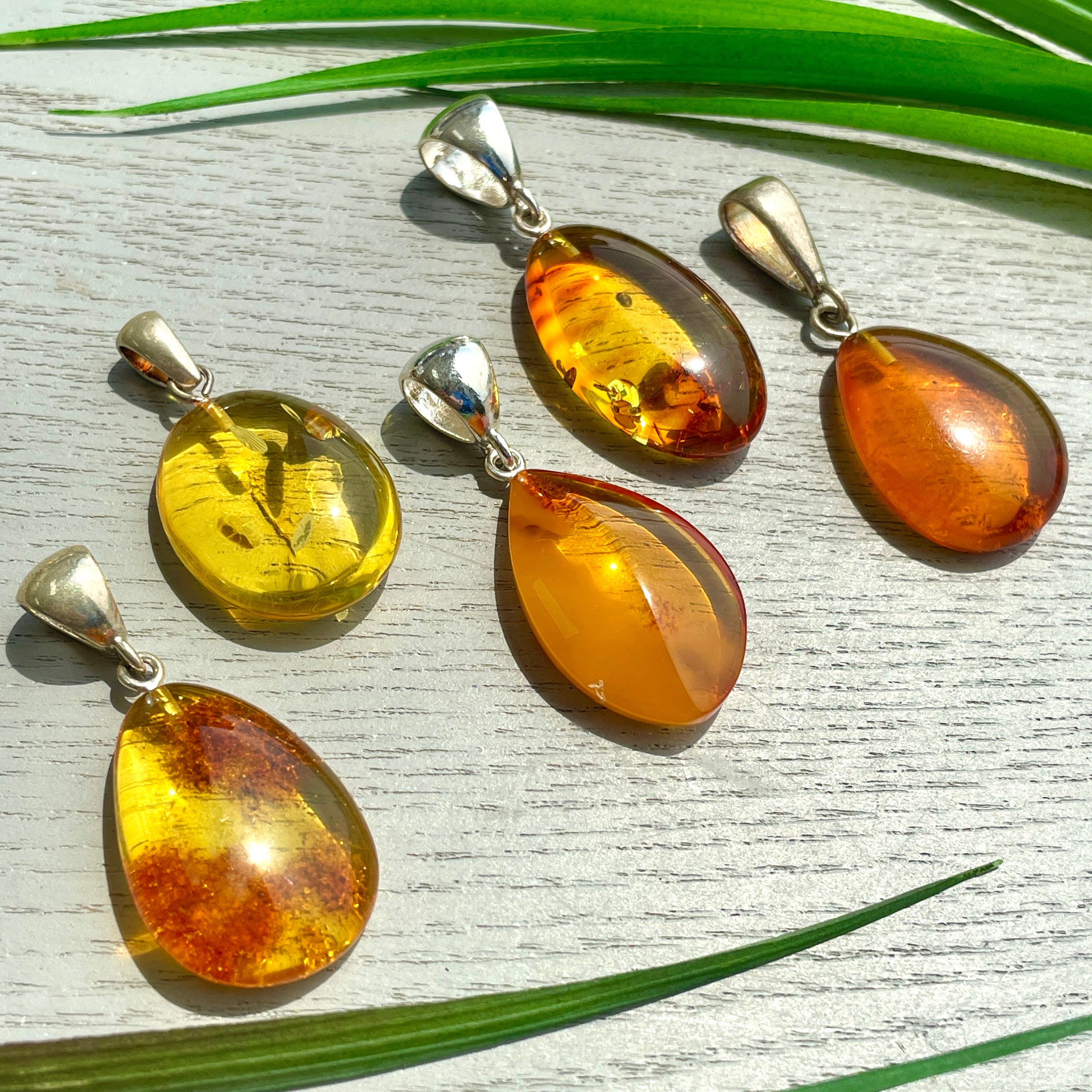 Amber Pendant - Style D Amber Pendant - Style D